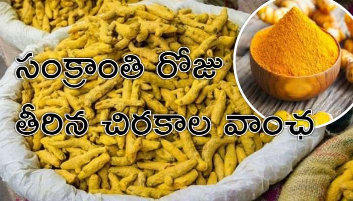 Turmeric Board: పసుపు రైతులకు &#039;సంక్రాంతి&#039; కానుక.. నిజామాబాద్‌లో పసుపు బోర్డు ప్రారంభం