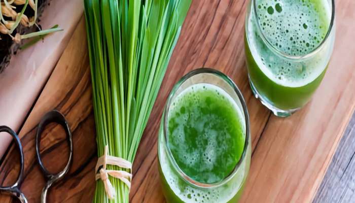 Wheat Grass Juice: సర్వ రోగ నివారిణి గోధుమ గడ్డి రసం.. లాభాలు తెలుస్తే అసలు వదిలిపెట్టారు!!