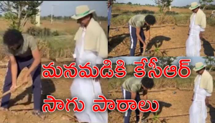 Himanshu Rao KCR: మనవడికి వ్యవసాయం నేర్పుతున్న మాజీ సీఎం కేసీఆర్‌ తాతయ్య
