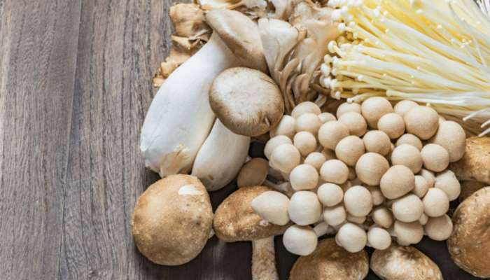 Mushroom: పుట్టగొడుగులు ఎవరు, ఎందుకు తినకూడదు.. మీకు తెలుసా..?