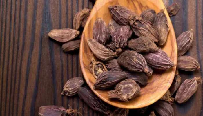 Black Cardamom: నల్ల యాలకులు ప్రయోజనాలు తెలుస్తే అసలు వదిలిపెట్టరు..