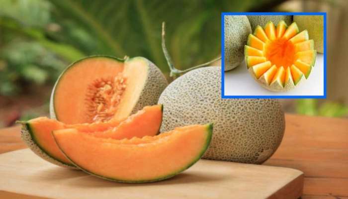  Muskmelon Juice: ఖర్బూజా ఆరోగ్యానికి ఎంత మంచిదో.. కానీ వీళ్ళు జాగ్రత్తగా ఉండాలి!