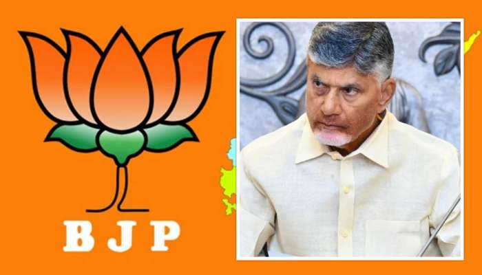 BJP Master Plan: చంద్రబాబుకు దీటుగా బీజేపీ మాస్టర్‌ ప్లాన్‌.. 22 జిల్లాల అధ్యక్షుల ఎంపిక