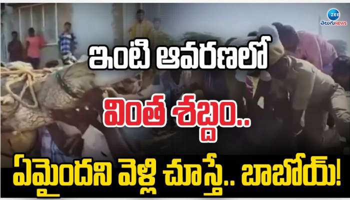 Crocodile in House: వనపర్తి జిల్లాలో ఓ ఇంట్లో మొసలి కలకలం..  స్థానికుల్లో భయాందోళనలు.. 