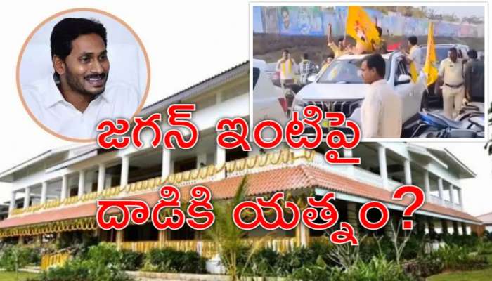 YS Jagan House: మాజీ సీఎం జగన్‌ ఇంటిపై రెచ్చిపోయిన 'తెలుగు తమ్ముళ్లు'.. నారా లోకేశ్‌ బర్త్‌డే పార్టీతో హల్‌చల్‌