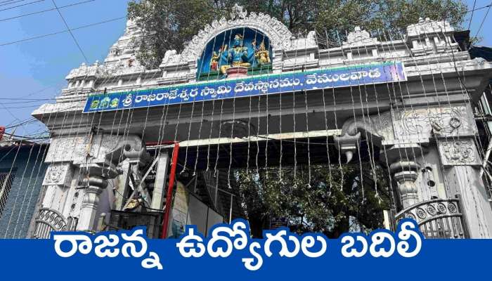 Vemulawada: ఎక్స్ ఎఫెక్ట్..! రాజన్న ఉద్యోగుల బదిలీ..