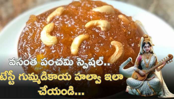 Pumpkin Halwa: వసంత పంచమి స్పెషల్.. టేస్టీ గుమ్మడికాయ హల్వా ఇలా చేయండి...