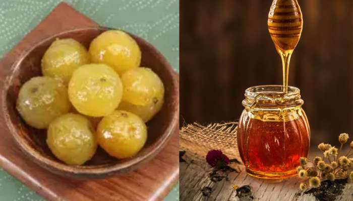 Amla Benefits: ఉసిరిని ఇలా ఊరబెట్టి రోజూ ఉదయం తింటే చాలు.. డాక్టర్‌ వద్దకు వెళ్లాల్సిన అవసరమే లేదు..