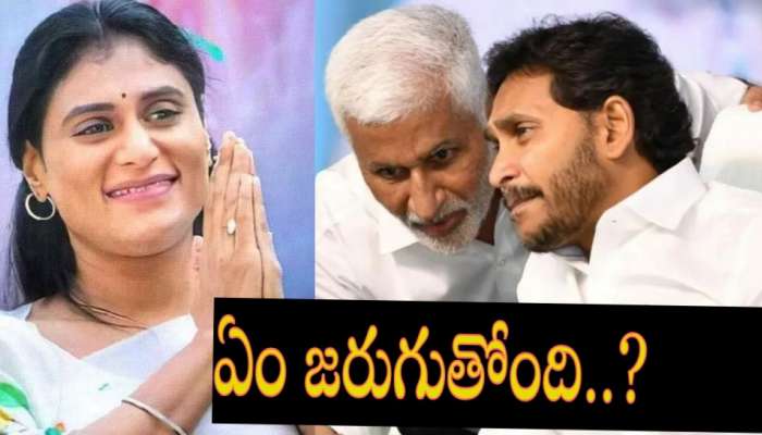 Vijayasai Reddy: రాజకీయాల్లో సంచలనం.. వైఎస్ షర్మిలతో విజయసాయి రెడ్డి భేటీ.. కారణం ఇదే..!