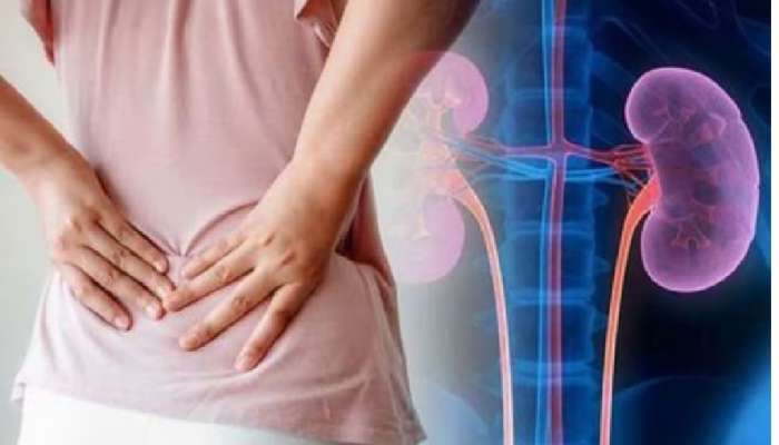 Urine Infections: యూరిన్ ఇన్‌ఫెక్షన్ కారణాలేంటి, లక్షణాలు ఎలా ఉంటాయి