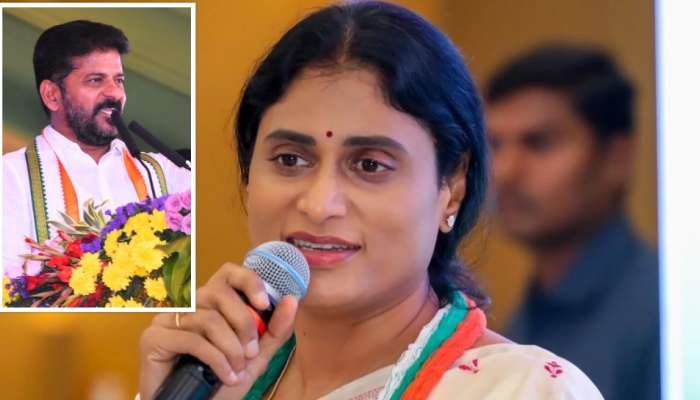 YS Sharmila: 'రేవంత్ రెడ్డిని చూసి ఏపీ సీఎం చంద్రబాబు నేర్చుకోవాలి'
