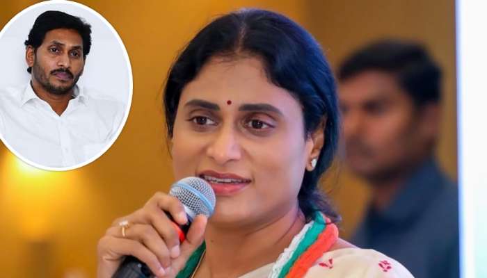 YS Sharmila: &#039;మేనకోడలు, అల్లుడు ఆస్తులు కాజేయాలని జగన్‌ మామయ్య కుట్రలు&#039;