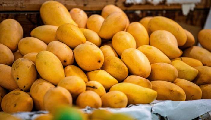 Mango: పండ్ల రారాజు.. పోషకాలకు పుట్టినిల్లు మామిడి పండు తింటే కలిగే ఆరోగ్య ప్రయోజనాలు తెలుసా?