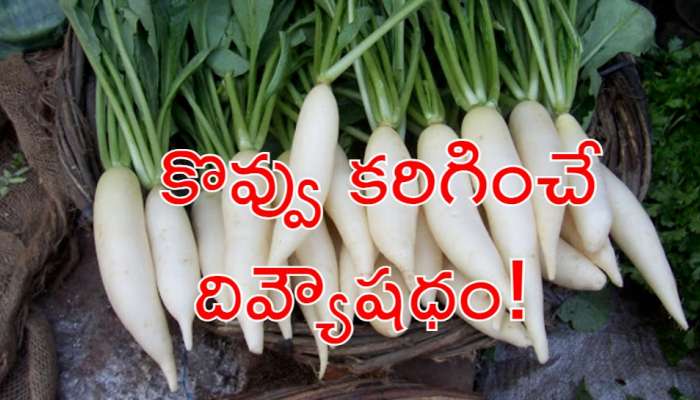 Radish Juice: ముల్లంగిని ఇలా తీసుకుంటే &#039;కొవ్వు&#039; కొండలా కరిగించేస్తుంది