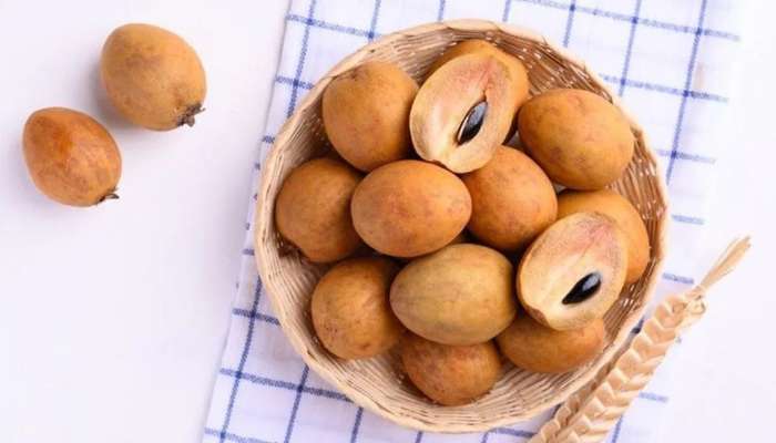 Sapota Fruit: సపోటా పండు తింటే బోలెడు లాభాలు మీసొంతం