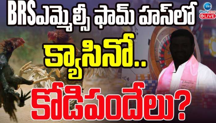 BRS ఎమ్మెల్సీ ఫామ్ హౌస్ లో క్యాసినో.. కోడి పందేలు.. ?