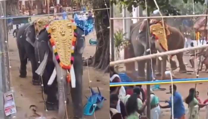 Elephants Attack video: దేవుని ఉత్సవాలలో ఏనుగుల బీభత్సం.. జనాలను తొండంతో ఎత్తిపడేసిన గజరాజులు.. వీడియో వైరల్..