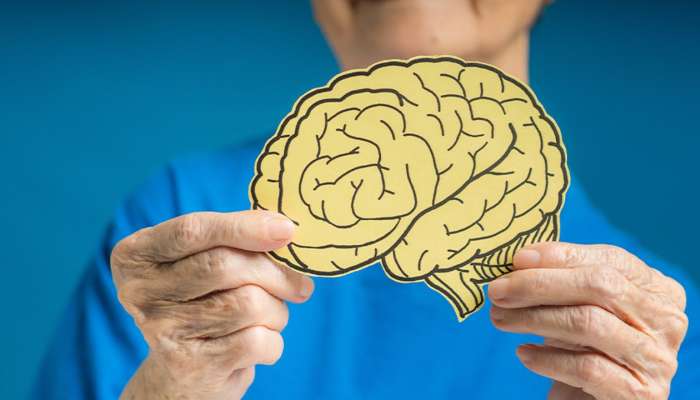 Brain Health: జ్ఞాపకశక్తి పెంచే అద్భుతమైన ఆహారసదార్థాలు ఇవే..