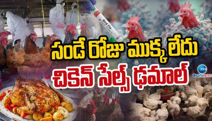 Sunday Chicken Rates Down Fall: సండే రోజు ముక్క లేదు.. చికెన్ సేల్స్ ఢమాల్.. 