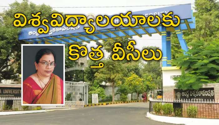 VCs Appointments: ఏపీ గవర్నర్‌ కీలక నిర్ణయం.. 9 విశ్వవిద్యాలయాలకు వీసీల నియామకం