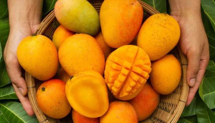 Mango Fruit: మామిడి పండు తింటే శరీరానికి కలిగే లాభాలు ఇవే..!