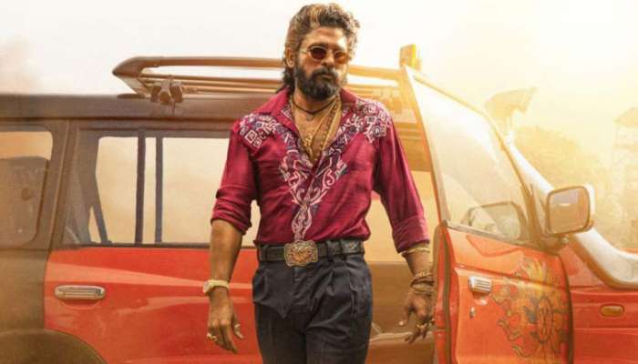 Pushpa 2 Hindi Collections: ‘పుష్ప 2’ వరల్డ్ వైడ్ హిందీ టోటల్ కలెక్షన్స్.. మొత్తం ఎన్ని కోట్ల లాభాలంటే.. 