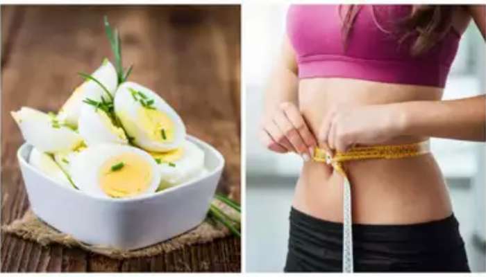 Egg Vs Weight Loss: త్వరగా బరువు తగ్గాలనుకుంటున్నారా? ప్రతిరోజు దీని ఆహారంలో తీసుకోండి..