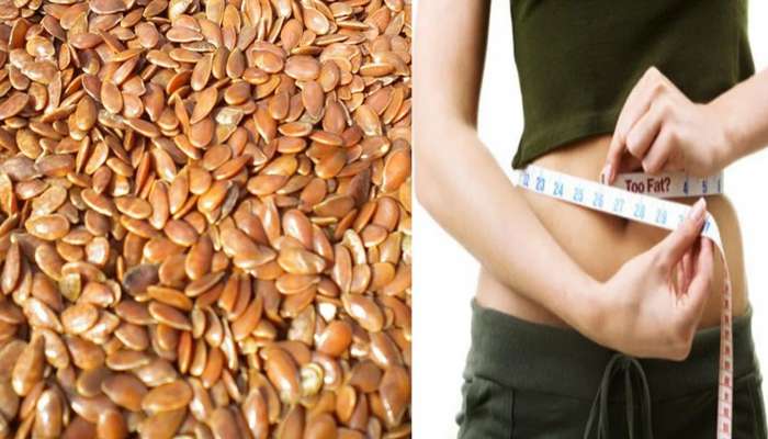 Flaxseeds Benefits: అవిసె గింజలు డయాబెటిస్‌, అధిక బరువు వారికి ఎలా సహాయపడుతుంది?