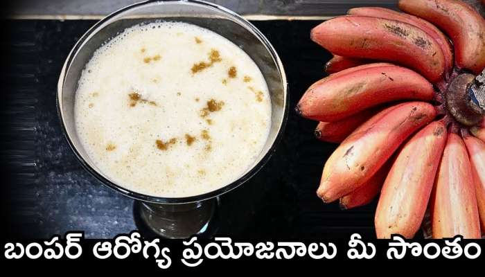 Red Banana Benefits: ఈ స్మూతీ తాగితే.. బంపర్‌ ఆరోగ్య ప్రయోజనాలు మీ సొంతం..