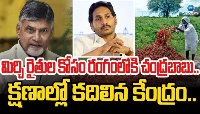 Mirchi Crop: మాజీ సీఎం జగన్‌ దెబ్బకు దిగివచ్చిన కేంద్ర ప్రభుత్వం.. మిర్చి రైతులకు భారీ గుడ్‌న్యూస్‌