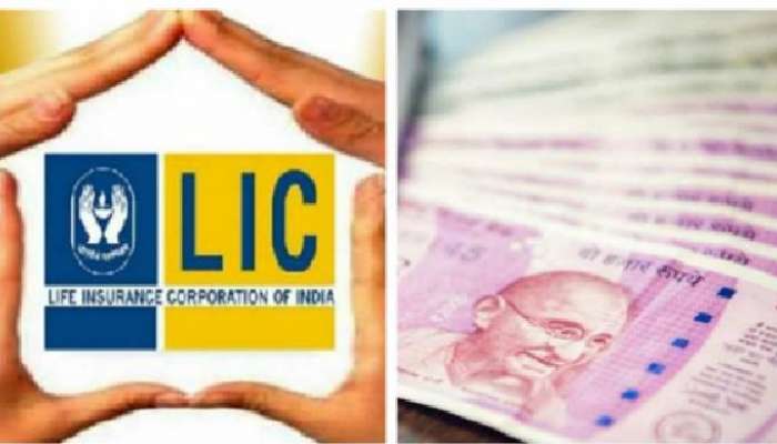 LIC Pension Scheme: ఎల్ఐసీలో ఈ స్కీమ్ తీసుకుంటే మీకు, మీ భాగస్వామికి జీవితాంతం పెన్షన్