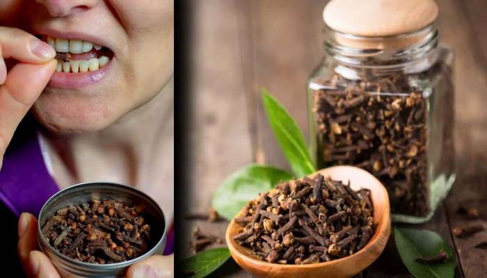 Clove: లవంగాలలో ఉన్న అద్భుతాల గురించి తెలుస్తే అసలు వదిలిపెట్టారు..