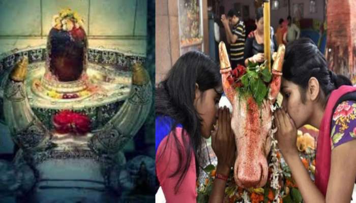 Maha Shivratri: నందీశ్వరుడి చెవిలో మీ కోరికలను చెప్పుకుంటున్నారా..?.. ఈ నియమాలను తప్పకుండా పాటించాలంట..!