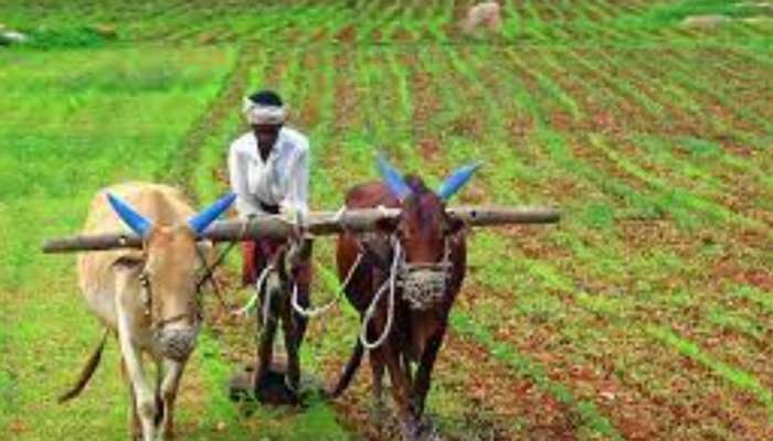 PM Kisan: రేపు 10 కోట్ల మంది రైతుల ఖాతాల్లోకి 22000 కోట్లు జమ.. ఇలా చెక్ చేసుకోండి 