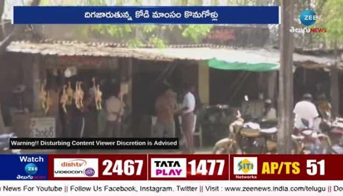 Bird Flu Effect: Bird Flu Effect On Chicken Centre 