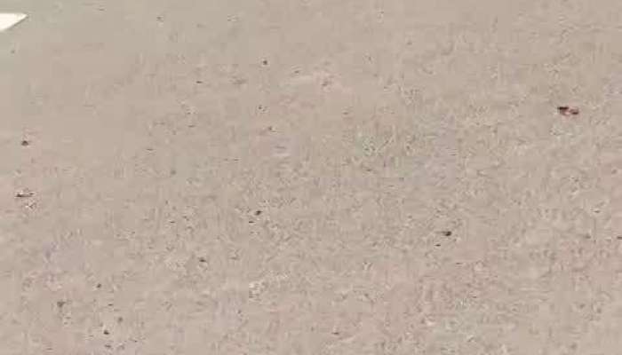 Chandrababu Naidu Constituency Young Men Died In Jallikattu Rv
