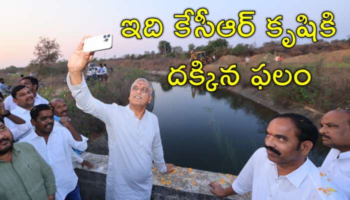 Harish Rao: &#039;తెలంగాణలో బంగారం లాంటి పంటలకు కారణం ఒకే ఒక్కరు కేసీఆర్‌&#039;