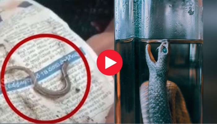 Viral Video Today: కల్లు తాగే వారు తస్మాత్ జాగ్రత్త.. ఈ వీడియో చూస్తే మీకే అర్థమవుతుంది!