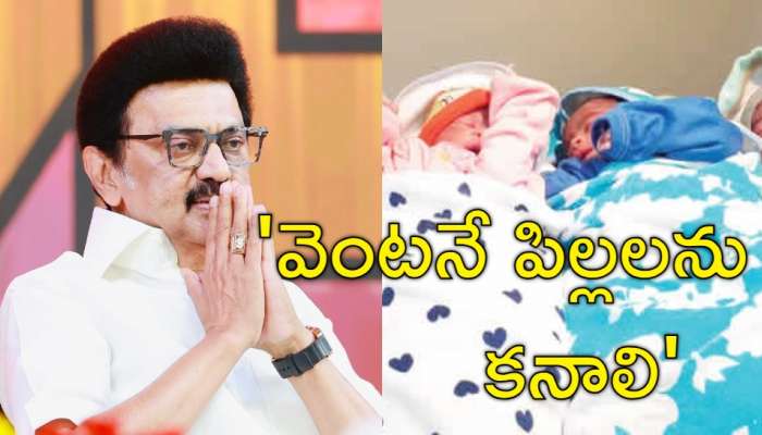 MK Stalin: 'కొత్తగా పెళ్లయిన వారికి ముఖ్యమంత్రి సంచలన విజ్ఞప్తి.. పిల్లలను కనేయండి'