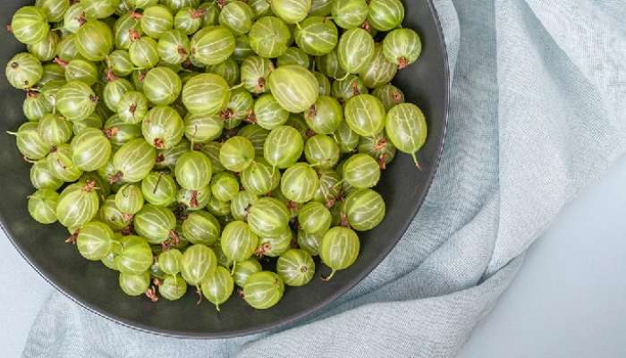 Amla Remedies: తరచూ మూత్రం వస్తోందా, ఉసిరి రోజూ ఇలా తింటే చాలు