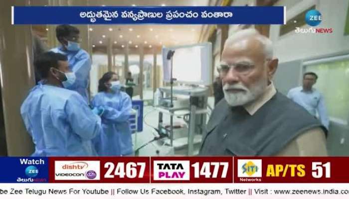 pm narendra modi inagurates vantara animal rescue centre in jamnagar pa