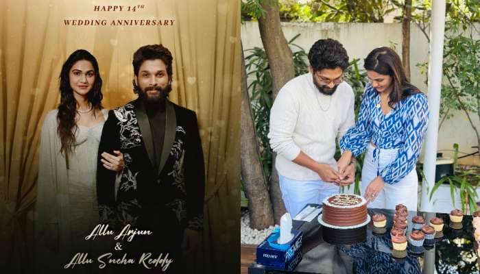 Allu Arjun Wedding Anniversary: ఘనంగా అల్లు అర్జున్, స్నేహా రెడ్డిల 14th వెడ్డింగ్ యానివర్సరీ.. కేక్ కట్  చేసిన దంపతులు.. 