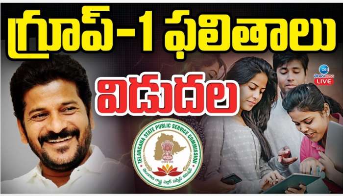 TGPSC Group 1 Results: టీజీపీఎస్సీ గ్రూప్‌ 1 ఫలితాలు విడుదల.. చెక్‌ చేసుకోవడం ఇలా