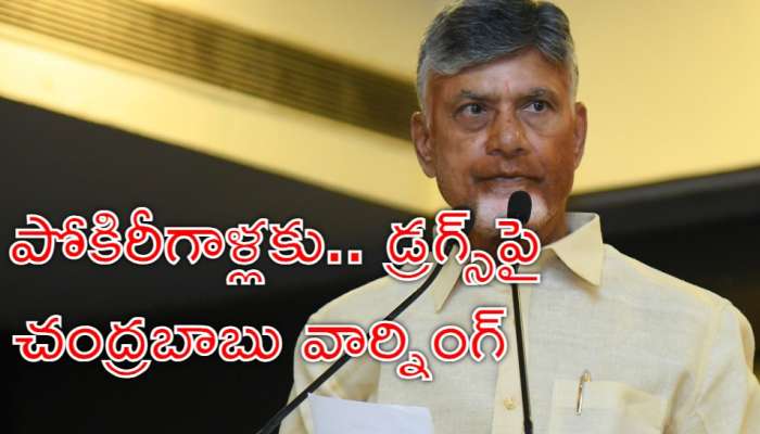 Chandrababu: ప్రేమ పేరుతో అమ్మాయిలను ట్రాప్ చేస్తే తాట తీస్తా: సీఎం చంద్రబాబు హెచ్చరిక