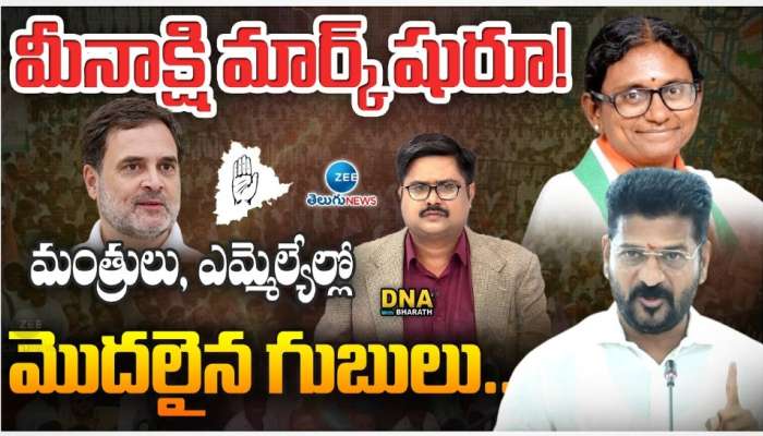 Telangana Congress: మీనాక్షి 'ఆపరేషన్‌' మొదలైందా..? రేవంత్‌ రెడ్డికి చెక్‌ పడిందా?
