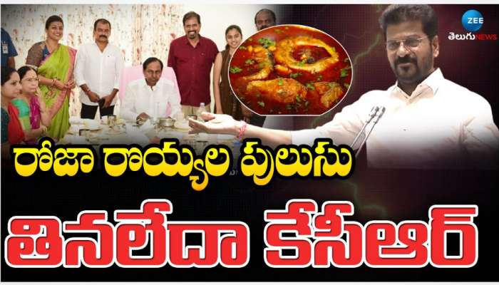 Telangana Assembly: రోజా రొయ్యల పులుసు తినలేదా కేసీఆర్.. అసెంబ్లీలో రేవంత్ సూటి ప్రశ్న.. 