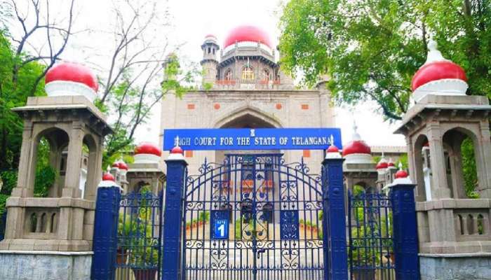 High Court Serious On Hydra: దమ్ముంటే పెద్దల జోలికి వెళ్లి చెప్పండి, హైడ్రాపై హైకోర్టు ఘాటు వ్యాఖ్యలు