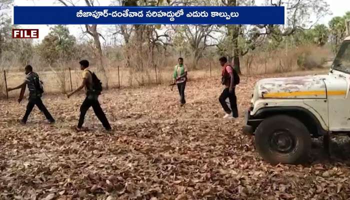 22 Maoists Killed In Bijapur And Kanker Districts Of Chhattisgarh Rv