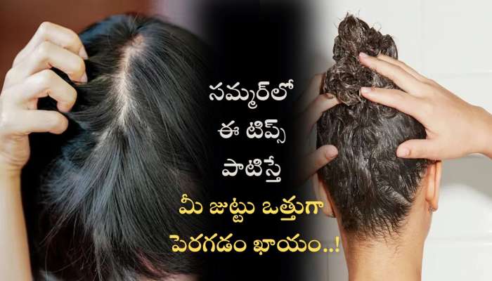 Natural Hair Care Tips: సమ్మర్‌లో ఈ టిప్స్‌ పాటిస్తే మీ జుట్టు ఒత్తుగా పెరగడం ఖాయం..!