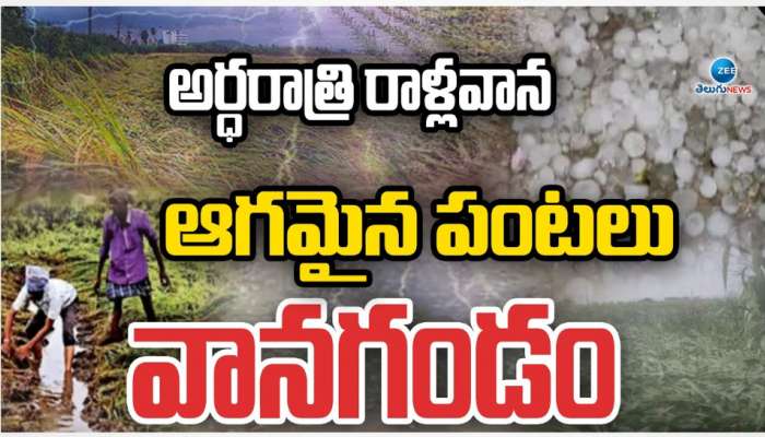 Telangana Rains: తెలంగాణకు వాన గండం.. అర్ధరాత్రి రాళ్ల వాన.. ఆగమైన పంటలు.. 